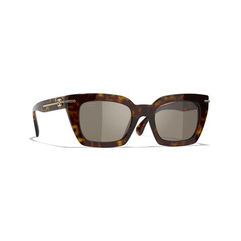 Square Sunglasses Acetate Dark Tortoise. Lenses: Brown, .